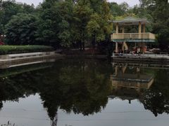 -晓港公园