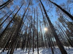-北极村旅游风景区