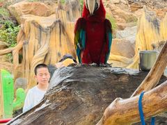 -西霞口神雕山野生动物世界