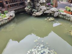 -漫渡庄绿岛花园•隐世庭园菜(滨湖店)