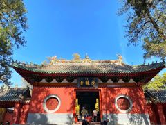 -禅宗少林·音乐大典