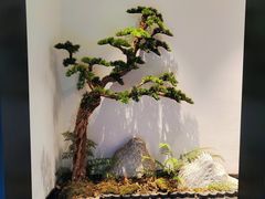 -院里寻菜·精致庭院菜(观沙岭店)