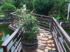 -鹅公村食府(罗阳分店)