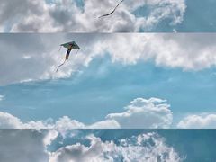 -嘉北郊野公园