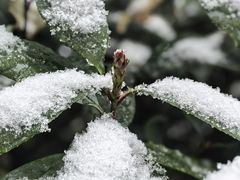 -湘约爨厨(太白立交店)