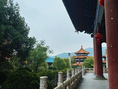 -天下玉苑