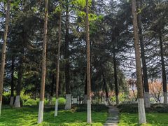 -后襄河公园