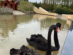 -东平国家森林公园