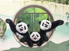 -中国大熊猫保护研究中心雅安碧峰峡基地