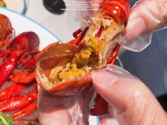 -杨氏青龙虾·羊蝎子(金盛路总店)