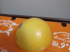 -江杨农产品批发市场