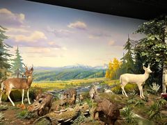 -陕西自然博物馆