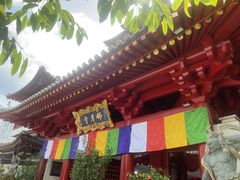 -新加坡佛牙寺龙华院