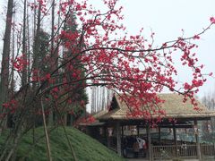 -秀丽东方