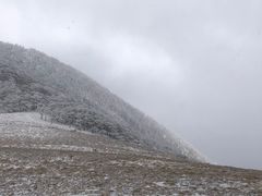-秦岭风景区
