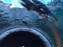-河川生态园