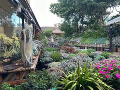 -山菌美食苑(振兴路店)