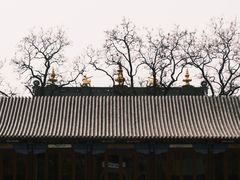 -护国法轮寺