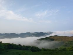 -苗方清颜祛痘·皮肤管理