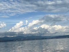 -洱海月湿地公园