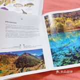 重约7斤 八开大本 623页