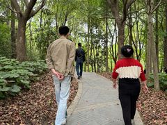 -昆山城市生态森林公园