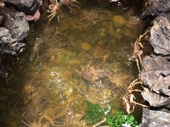 -綱元·海鲜豆捞(明州里店)