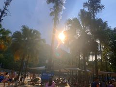 -重庆海昌加勒比海水世界