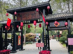 -合肥滨湖国家森林公园