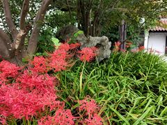-东渡苑景区