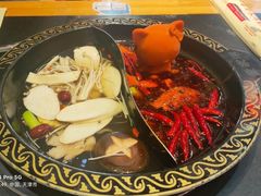 -董家湾重庆老火锅(嘉华店)