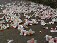 -会稽山峡洞漂流-上青古道