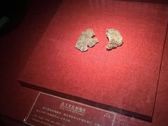 -南越王博物院