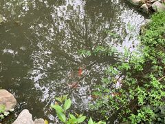 -浮庄