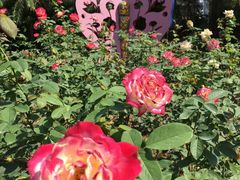 -人民公园(罗湖区)