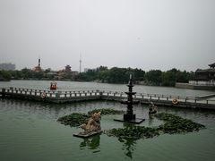-中国翰园碑林