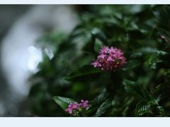 -行人小筑·茶馆(岑村火炉山分店)