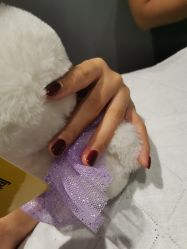 -悦指间美甲美睫