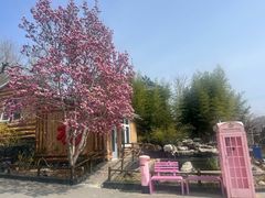-丽泽山庄·生态怀柔菜·虹鳟鱼(红螺寺店)