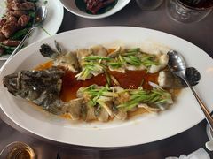 清蒸老虎斑-三利音·东方司宴(外滩店)