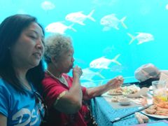 -瑞德姆美人鱼海底演艺主题餐厅(亚龙湾店)