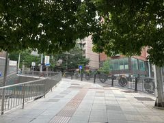 -六广门毛阿姨糯米饭