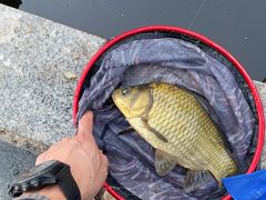 -酷鱼垂钓CLUB(朝阳区博大路店 )