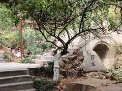-石老人观光园