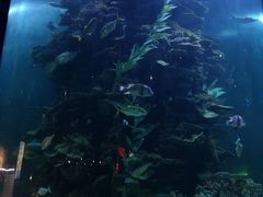 -蓬莱欧乐堡海洋极地世界