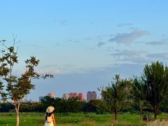 -汉长安城未央宫国家考古遗址公园