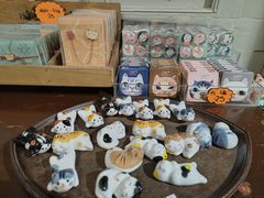 -猫咪博物馆(顶澳仔猫街店)