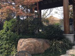 -苏州湾王焰温泉度假酒店