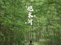 -桤木河湿地公园