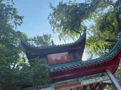 -万泊酒店(长沙五一广场国金中心店)